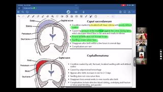Ace Achievers Dental Academy