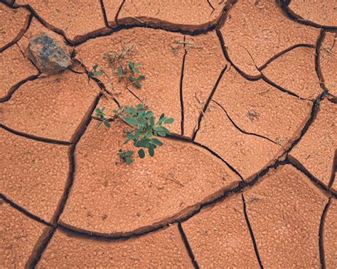 Sagaing Fault || 2025 Mandalay Earthquake || Seismic Risks in South ...