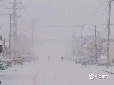 11 月 8 日至 9 日，东北、内蒙出现大范围特大暴雪，具体情况如何？极端天气会对当地造成哪些影响？
