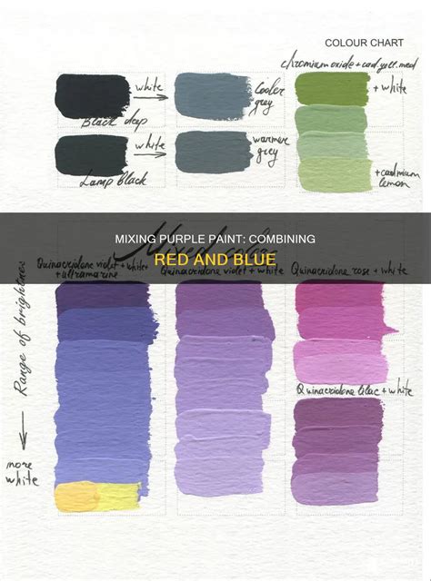 Mixing Purple Paint: Combining Red And Blue | CyPaint