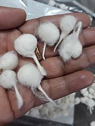 VC Cotton Wicks (White) - 1000 Pieces Pack : Amazon.in: Home & Kitchen