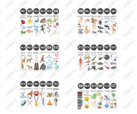 Image result for Library Shelf Labels