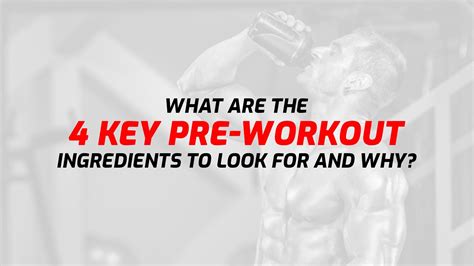 4 Key pre workout ingredients - Maximize Your Workout | Scitron