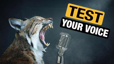 Vocal Range Test - What is your Vocal Type? - Professional Composers