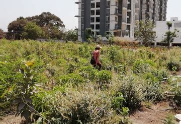 Active Tree Plantation Projects – Grow Billion Trees