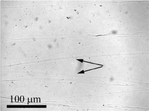 Image result for Linear Defects