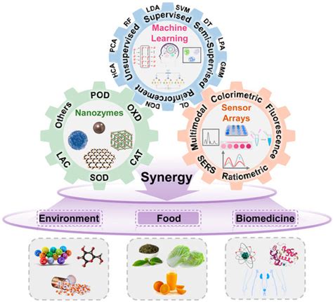 Machine-Learning-Assisted Nanozyme-Based Sensor Arrays: Construction ...
