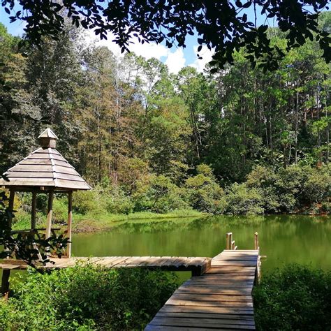 PARQUE NACIONAL LAS VICTORIAS (2026) All You Need to Know BEFORE You Go ...