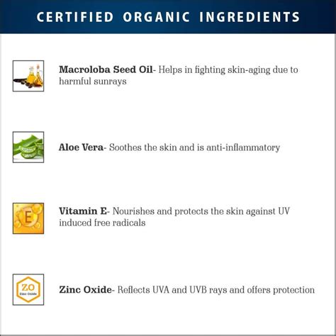 AMAzing EARTH SPF 30 Organic Sunscreen Men 80ml | Matt Buy India