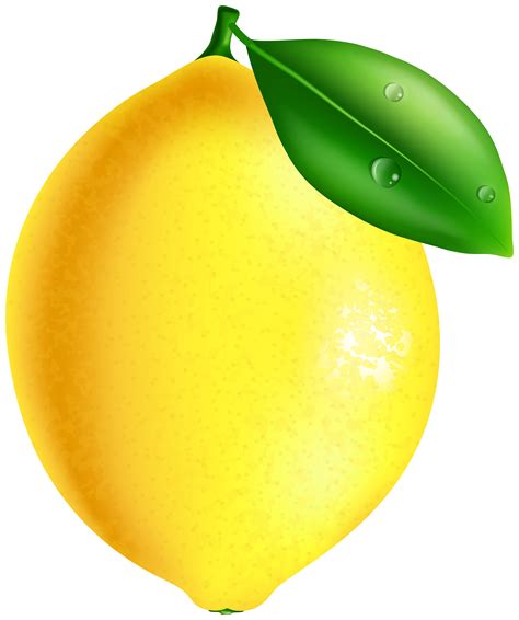 Lemon Green Clip Art At Vector Clip Art Online Image 7769