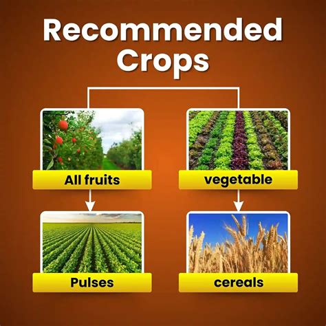 Buy Katyayani Triacontanol 0.1% EW | Plant Growth Regulator