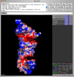 Image result for PyMOL Electrostatic Potential