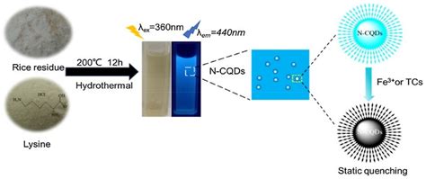 Synthetic Approach to Rice Waste-Derived Carbon-Based Nanomaterials and ...