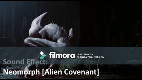 Image result for Neomorph Sound