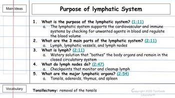 Image result for Crash Course Lymphatic System