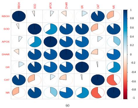 How to Align Vertically Center in CSS 的图像结果
