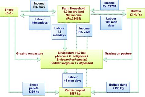 Image result for Fodder Flow