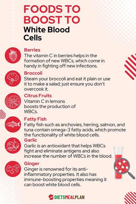 What Improves Your White Blood Count