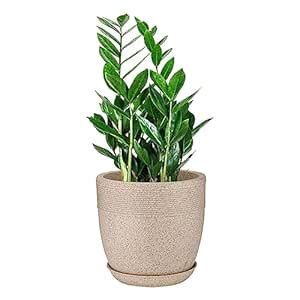 Amazon Brand - Umi Indoor Outdoor Plastic Jaguar Marble Look Roto ...