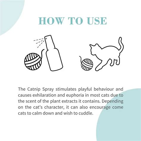 Bioline Catnip Spray[Volume - 50ml] | SMBG B2B Website