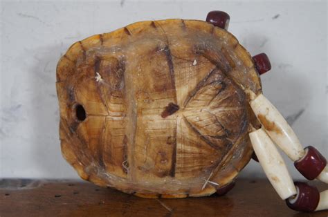 Image result for Native American Turtle Shell