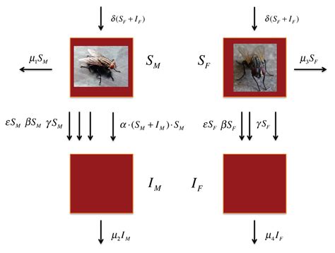 Insects | Special Issue : Feature Papers 2013