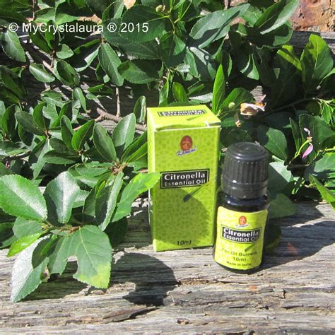 Citronella Oil - Kamini Fragrance Oil - Buy Online - My CrystalAura