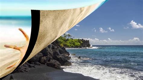 Image result for Pearly Shells Riff