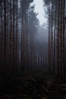 Background Images Portrait by Nature Photography Portrait Display Wallpapers Hd Background Images Portrait
