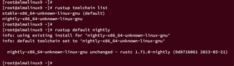 Cargo Rust CMD Install 的图像结果