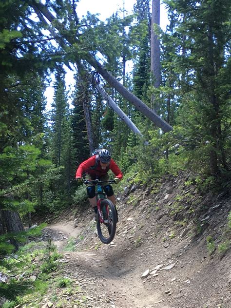 Flagstaff Biking Organization, USFS and Flagline Trails Partnering on ...