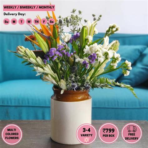 SUBSCRIPTION BANGLORE_NEW – Tagged "city_bangalore"– Shades of Spring