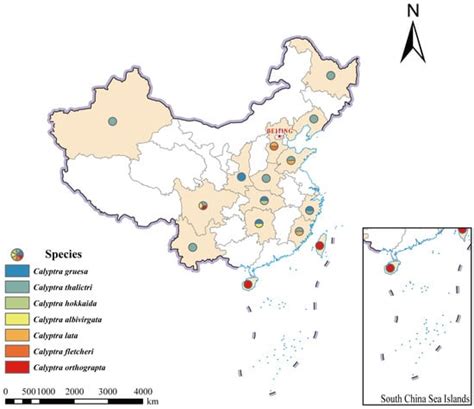 Taxonomic Revision of Vampire Moths of the Genus Calyptra (Lepidoptera ...