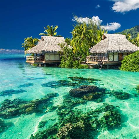 French Polynesia! | Urlaubsguru, Reisen, Tahiti