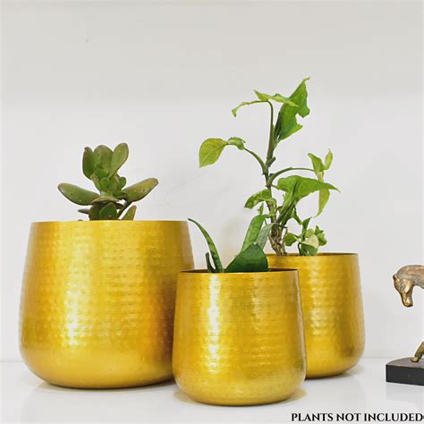 Allura Golden Finish Hammered Indoor Metal Planters For Home & Garden ...