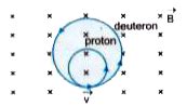 A proton and a deuteron, each moving with velocity `vecv`, enter ...