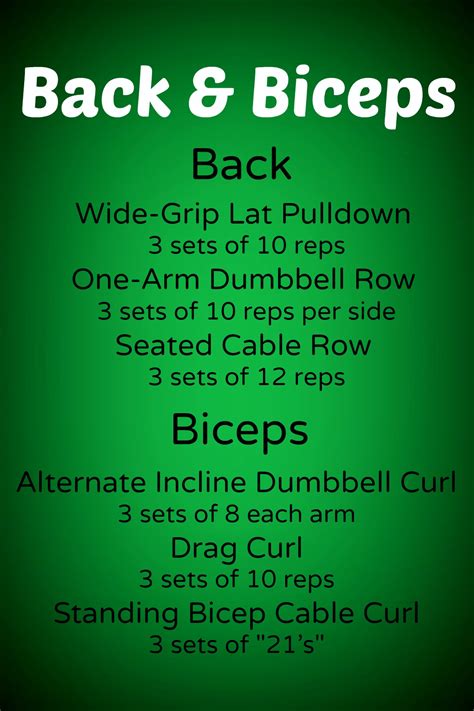 Good Bicep And Back Workout Routine | EOUA Blog