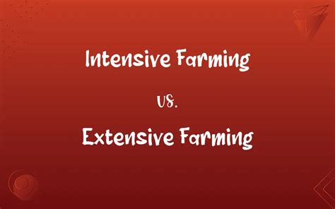 Image result for Intensive vs Extensive Variables