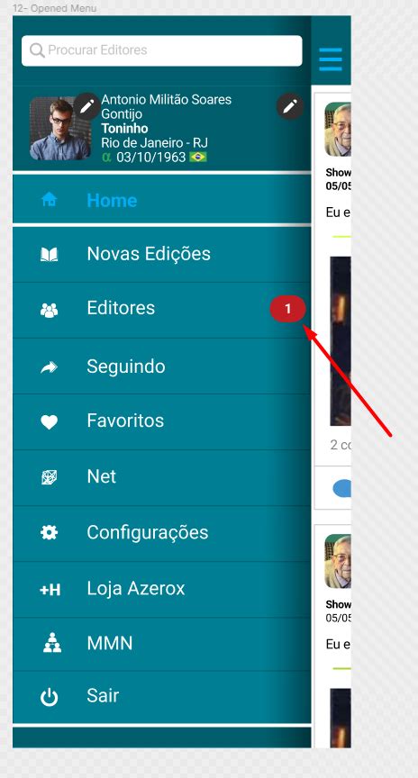 Flutter Menu 的图像结果