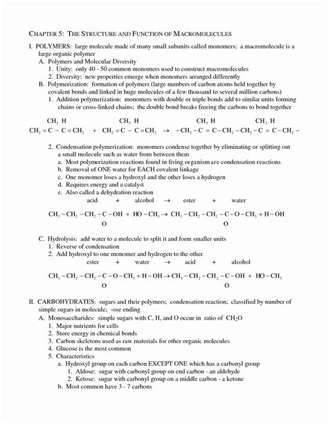 Image result for Protein Synthesis Review Worksheet