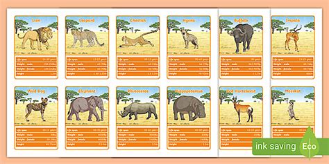 African Animal Top Cards Game
