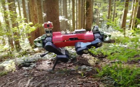 Forestry Technology 的图像结果