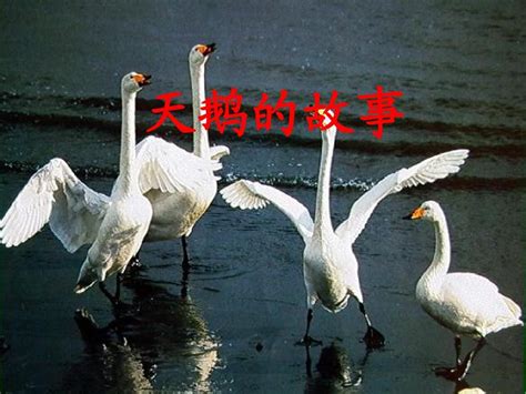 Code API 的图像结果