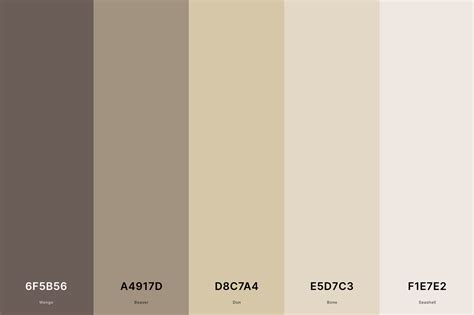 25+ Best Tan Color Palettes with Names and Hex Codes – CreativeBooster