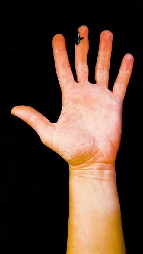 Image result for Coin Vanish Tutorial