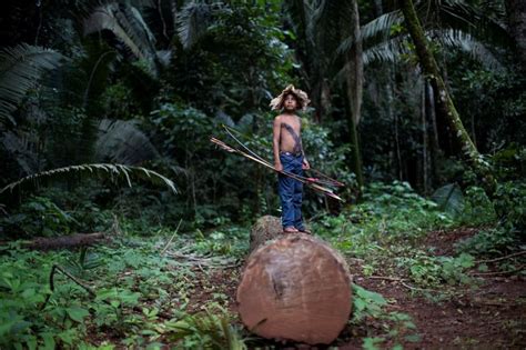 Brazil: Probe Ordered into Amazon Forest Land Put Up for Sale on ...
