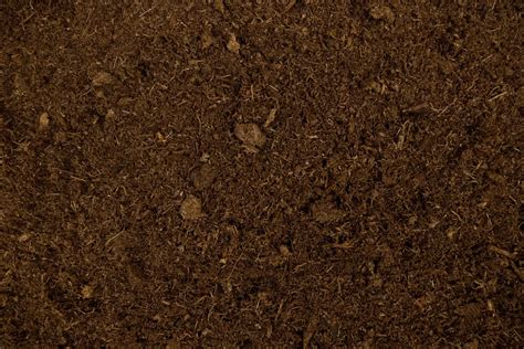 Lambert » Lambert The Black Bale Canadian Sphagnum Peat Moss