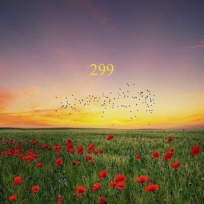 Number 299 Meaning