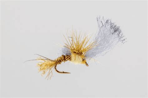PMD Emerger Fly Pattern 的图像结果