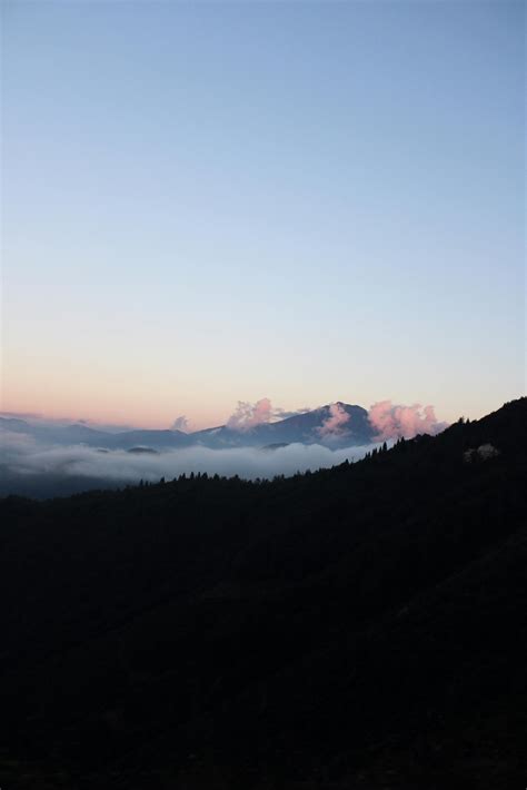 Grass Field Photography 的图像结果
